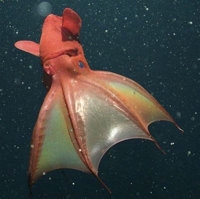   Vampire Squid! A Tiny Cephalopod Masterfully Camouflaged in Deep-Sea Darkness